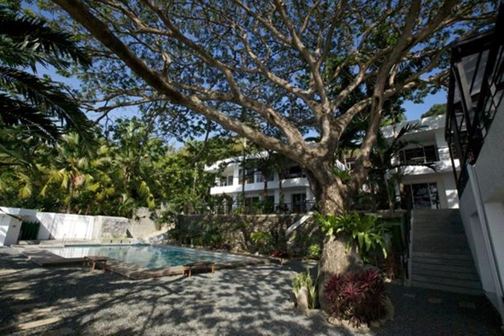 Acacia Resort And Dive Center Batangas Exteriör bild